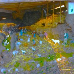 P1170097   Nel gelso del 1615!